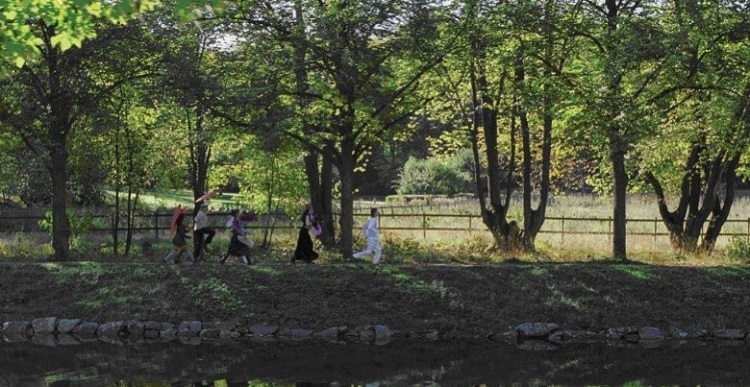 passerby in a verdant sunny park