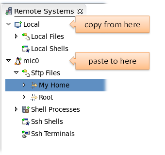 RSE の [Remote Systems] ウィンドウ(コピー)